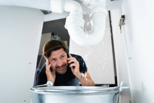 Best Local Plumber Services  in Greenville, AL