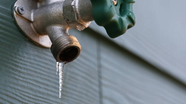 Best Plumbing Repair Near Me  in Greenville, AL